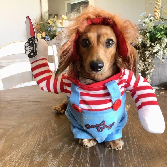 Pomeranian Chucky Costume NWOT Funny Good Dogs 2pc Halloween Scary